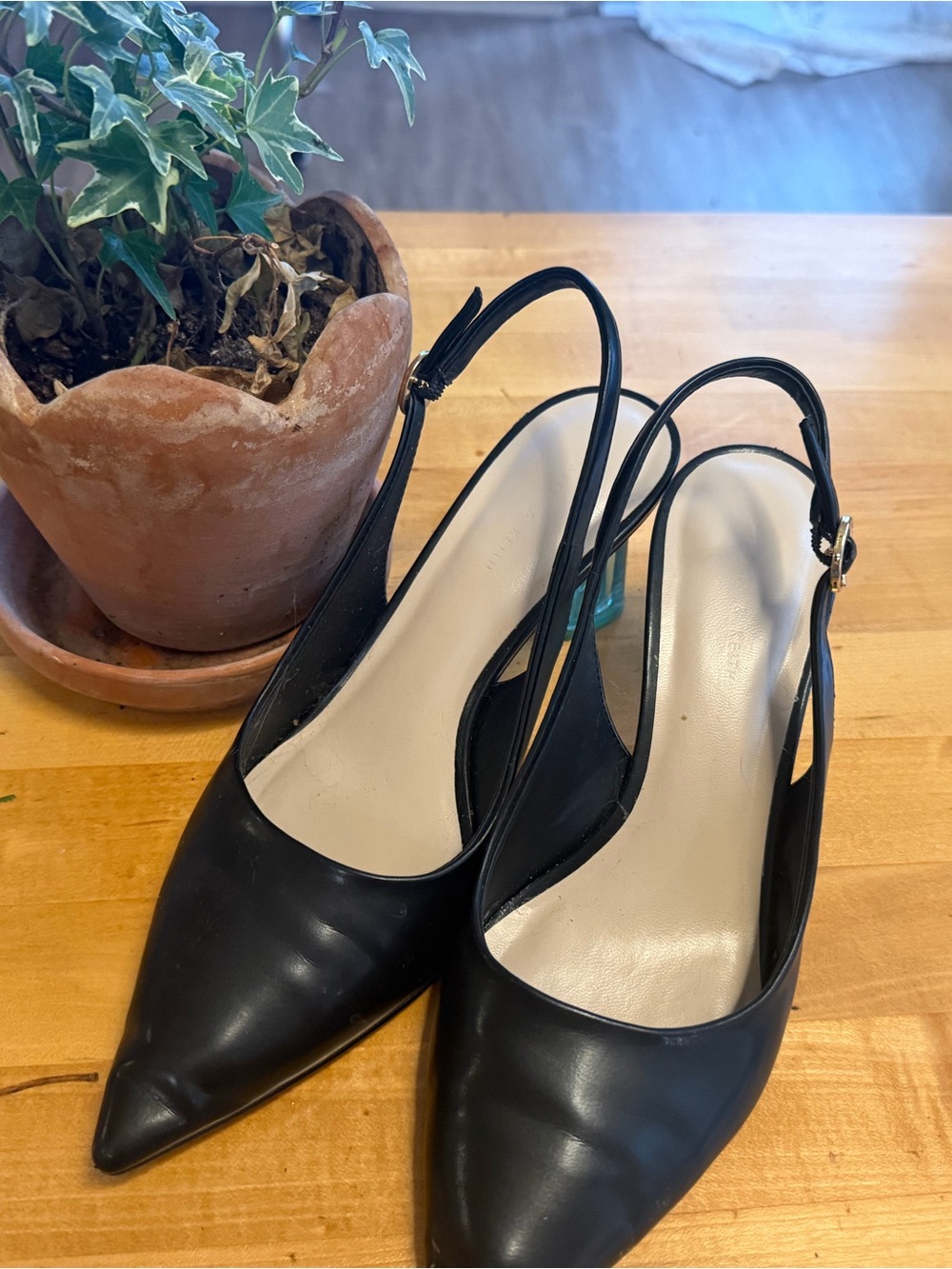Charles & Keith Black Pointed Slingback Pumps